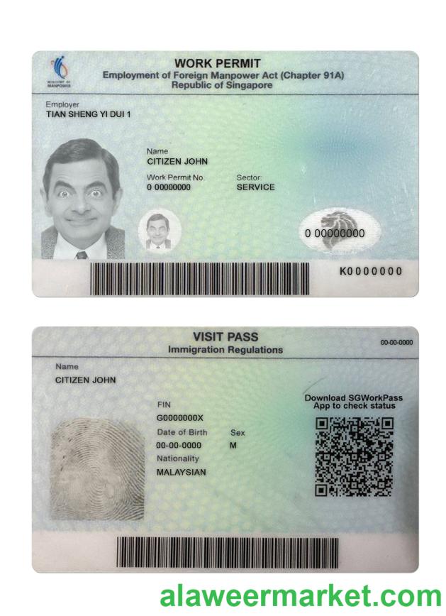 Singapore work permit